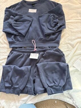 wild fable Slate Blue Fleece Pullover cropped Sweatshirt and Jogger Set